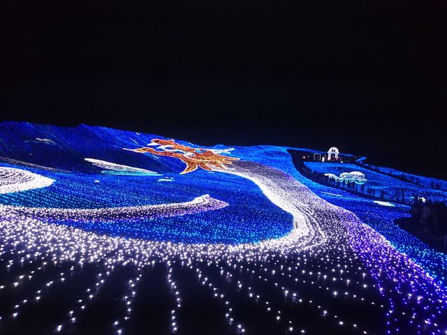 ���̉Ԕ��݂����ł�_�y���l�̐��n�z�A�p���]�[�g��z�����W�]��