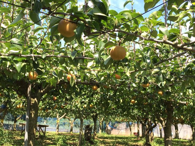 傫ȗHוIłĤׂtłB_cO[_