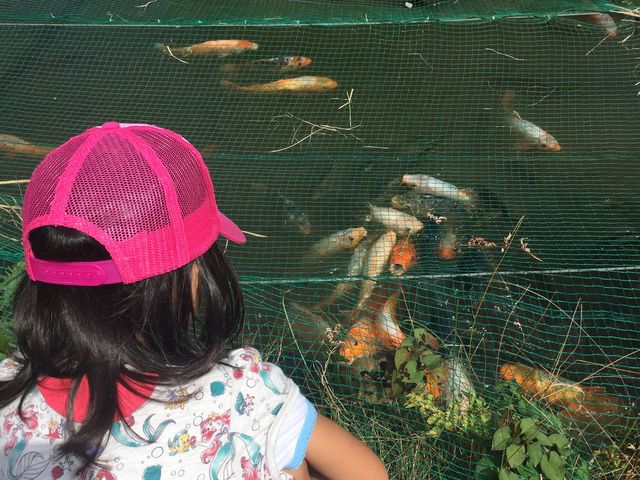 ��̉a���̗l�q�ł��B_�򕌎s�{�Y�Z���^�[����