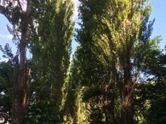 Hokutosei001̖k|v؂ւ̓eʐ^2