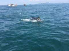 ̓쓇CJEHb`Oւ̓eʐ^1