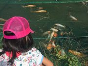 䂸̊򕌎s{YZ^[̓eʐ^1