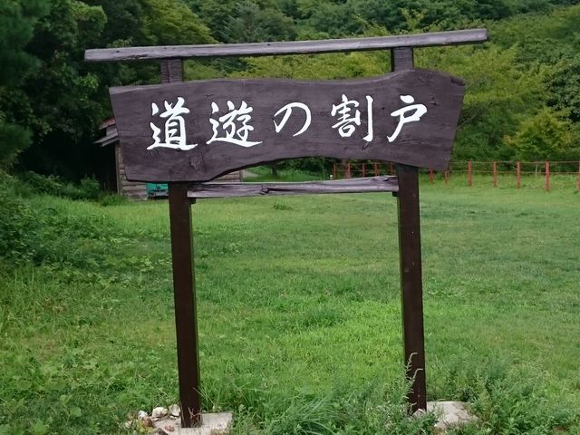 �B�e�X�|�b�g_���n���R���