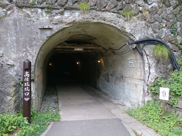 �o���֌������g���l�������_���n���R���