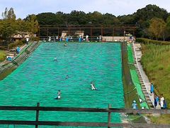 񂳂̍䥗΂̃~[WA n[xXg̋uւ̓eʐ^1