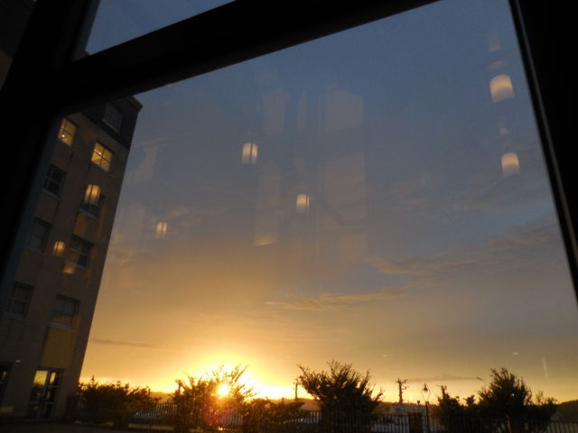 ̂悤ȃLCȗ[i܂B_|g[l v~Azei`