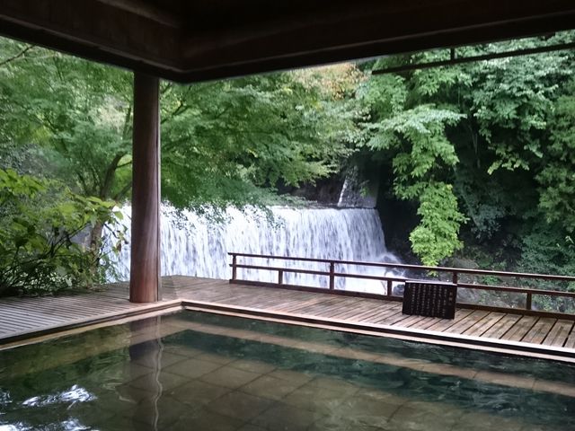 ���̖؂������ɂ������̂ŁA�t���I�X�X��_��t����@����