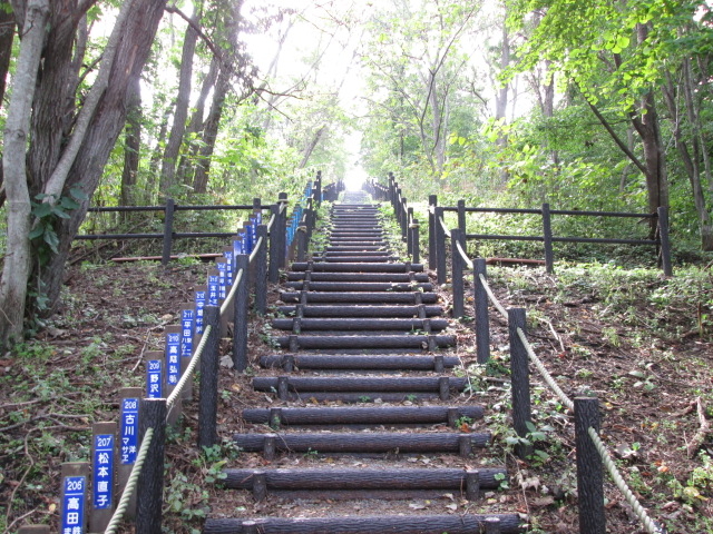 ���������}�ȊK�i�ł�_���{��̃Y���R�K�i