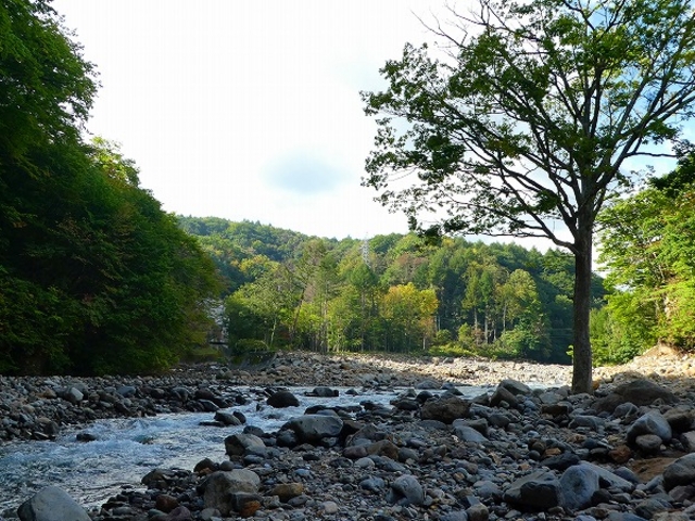 ��茧�E�������s����k�J��ʁE����k�J_����k�J