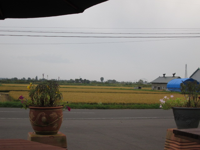 X猩ci_Shop's Garden 