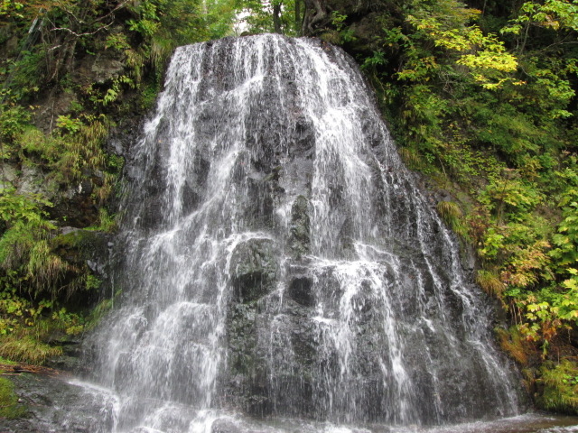 yosshy̍s҂̑̓eʐ^1