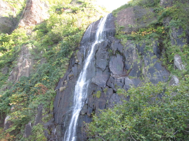 �m���ɔ�������_����̑�