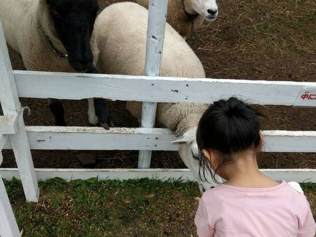 �r��A�q���ȂǓ�������������
�r�͉a��肪�ł��܂�_���X�c���]�[�g