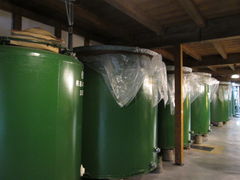 yosshy����̂ւ̓��e�ʐ^2