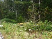 ߋT|~̓畽̓eʐ^4