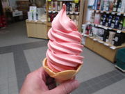 yosshy̓̉w Ƃ܂̓eʐ^2