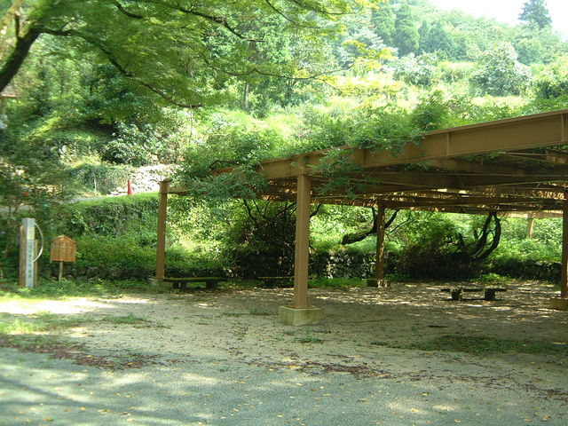 Ԃ񂳂̃~VmVNiQ̓eʐ^1