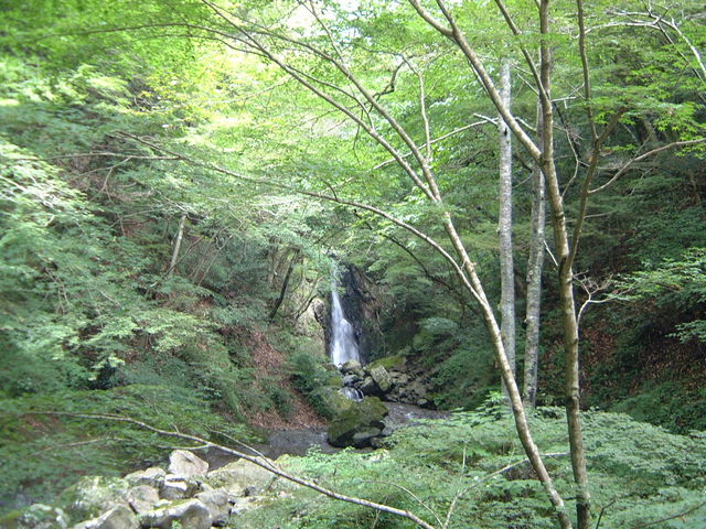 Ԃ񂳂̔b̍gt̓eʐ^1