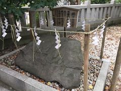 eri̖k_ЁiV_jւ̓eʐ^1