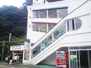 gV[̃A^~[vEFC̓eʐ^1