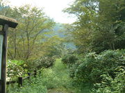 Ԃ񂳂̖쌹̓eʐ^2