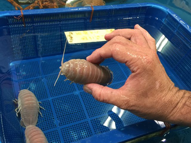 �|��������