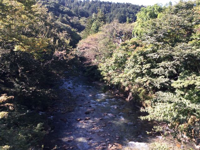 �㗬����_�l�������̓�