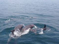 䂤񂳂̓쓇CJEHb`Oւ̓eʐ^1