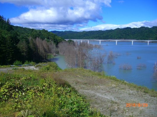 �V���[�p����_�V���[�p����