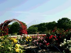 くまくま☆さんの中央公園（静岡県富士市）の投稿写真1