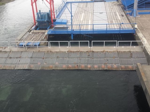 ����_�C���f�B�A�����ԁi�T�P�̕ߋ��ԁj