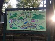 e-񂳂̋؎RO[h̓eʐ^2