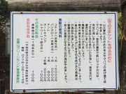 e-񂳂̋؎RO[h̓eʐ^4