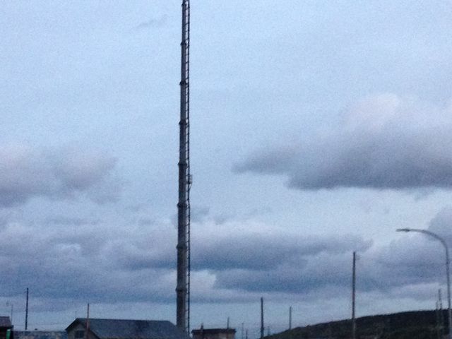 �C�ɔw������_�m�V���b�v��