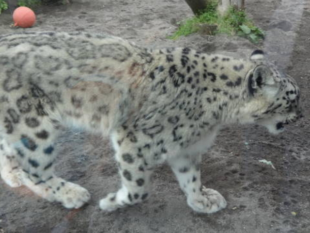 �~�R������