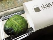 ܂̕ĉ̂ɂ߂@Rc̓eʐ^1