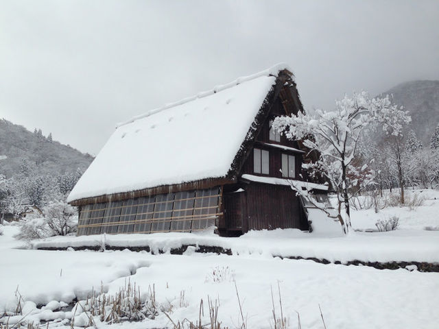 ��i�F�̍����Ɖ����{�ݓ��ɂ���܂����B_�g���^���싽���R�{�Z