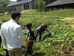 oeB[̃g^싽R{Zւ̓eʐ^1