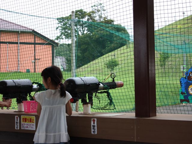 �����h�C�c��