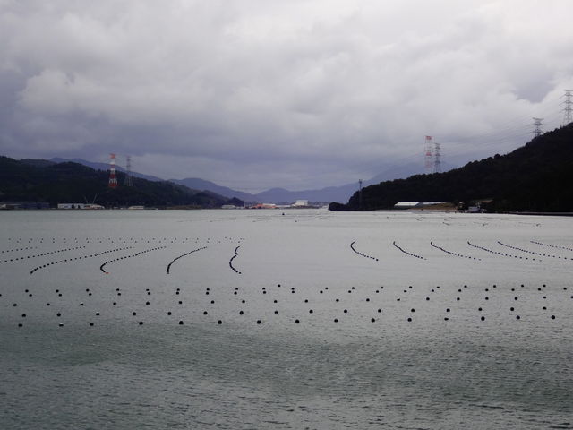 �˂̓��]_�˂̓��]