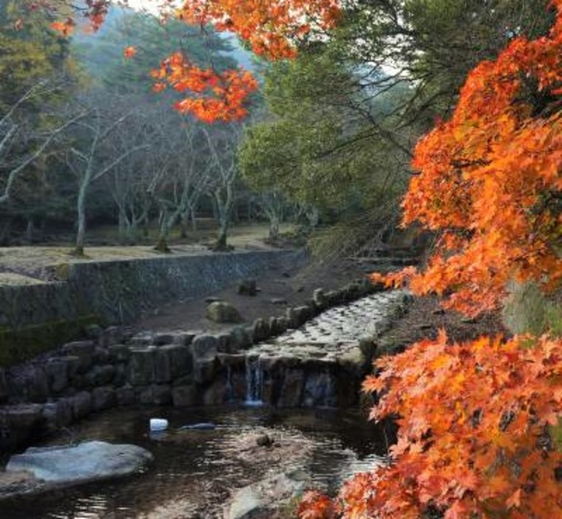 みどり中央駅周辺の公園・庭園ランキングTOP10 - じゃらんnet