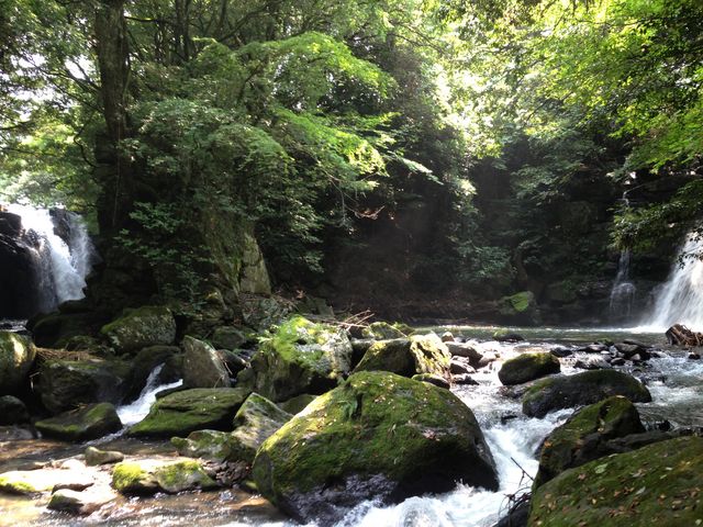 �v�w��_�v�w��