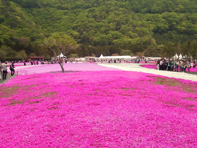 ZpC̉͌ΌΔȗV̓eʐ^1