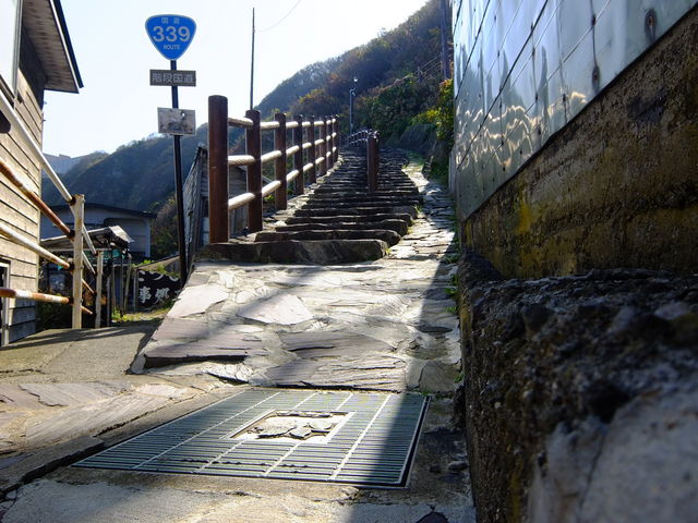 ����339_���򖦊ό��ē���