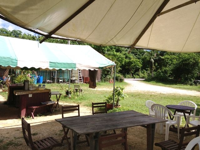 ݂̋{ǔ_t[cp[[̓eʐ^1