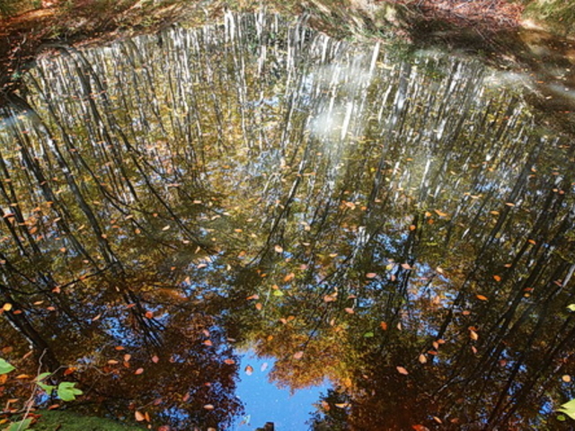 ����_���l��