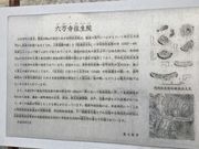 Sakamoto119̉@Zݎ̓eʐ^8