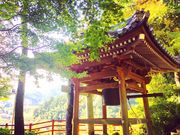 T̑勻P̃ccWE~W̓eʐ^1