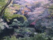 bq񂳂̓saJ˒뉀̓eʐ^2