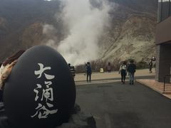 ���ɂႳ��̋ʎq�����ւ̓��e�ʐ^1